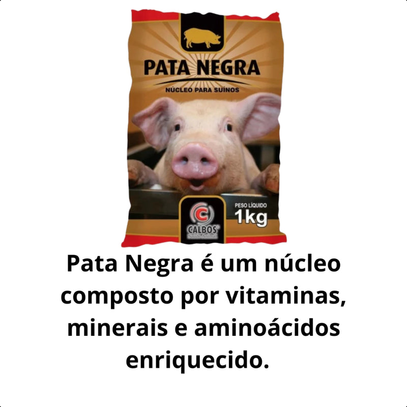 NUCLEO PARA SUINOS PORCOS PATA NEGRA 1KG VITAMINAS MIN AMINOACIDO CALBOS