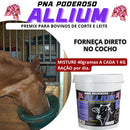 Núcleo Bovino Moscas Carrapatos Vermes PNA Poderoso Allium 10 Kg