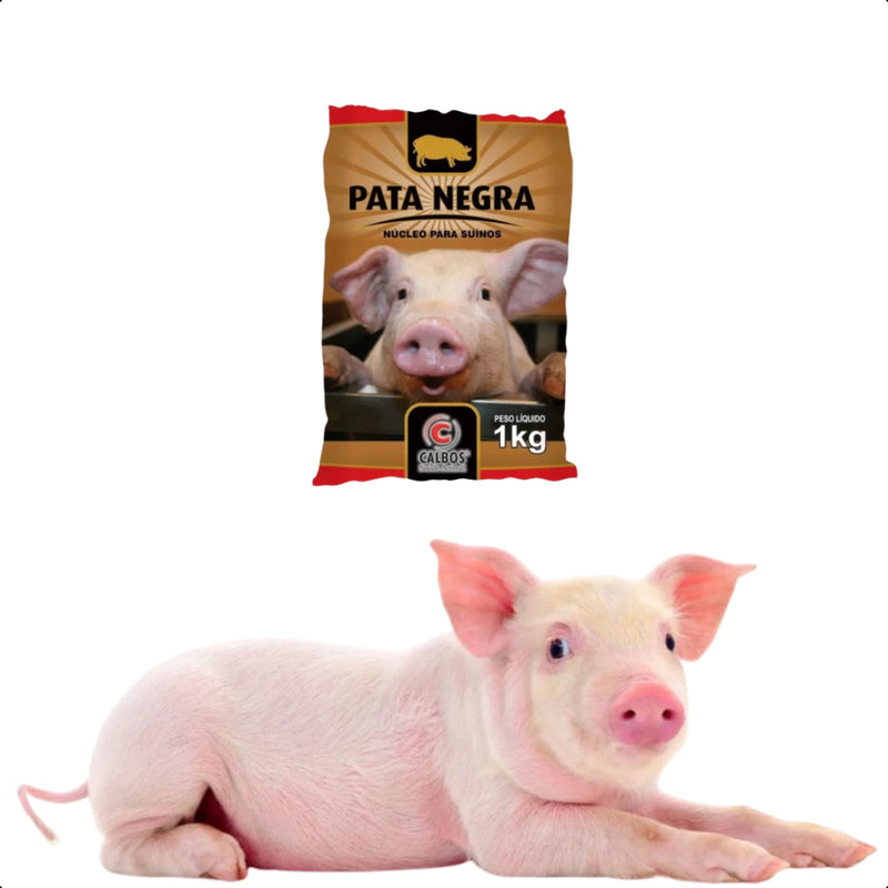 NUCLEO PARA SUINOS PORCOS PATA NEGRA 1KG VITAMINAS MIN AMINOACIDO CALBOS