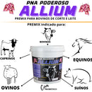 Núcleo Bovino Moscas Carrapatos Vermes PNA Poderoso Allium 10 Kg