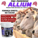 Núcleo Bovino Moscas Carrapatos Vermes PNA Poderoso Allium 10 Kg
