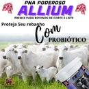 Núcleo Bovino Moscas Carrapatos Vermes PNA Poderoso Allium 10 Kg