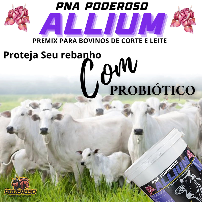 Núcleo Bovino Moscas Carrapatos Vermes PNA Poderoso Allium 10 Kg