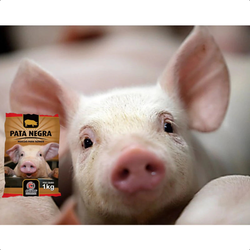 NUCLEO PARA SUINOS PORCOS PATA NEGRA 1KG VITAMINAS MIN AMINOACIDO CALBOS