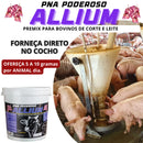 Núcleo Bovino Moscas Carrapatos Vermes PNA Poderoso Allium 10 Kg