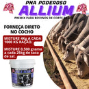 Núcleo Bovino Moscas Carrapatos Vermes PNA Poderoso Allium 10 Kg